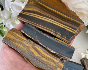 Tiger&#39;s Eye Slices (You Choose) Free Display Stand Included