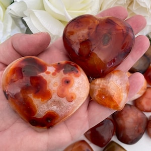 May include: A hand holds several heart-shaped carnelian stones. The stones vary in size and have a mix of orange, brown, and cream colors. Some stones have unique patterns and swirls. White flowers are in the background.