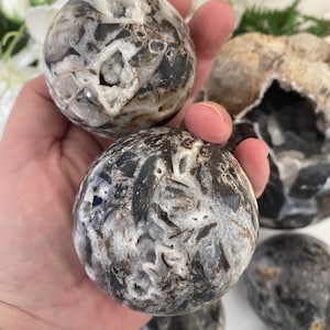 May include: Several polished stone spheres with a mix of black, gray, and white patterns. The spheres have a rounded shape and a smooth surface. Some spheres have small openings with visible crystal formations. The overall aesthetic is natural and earthy.