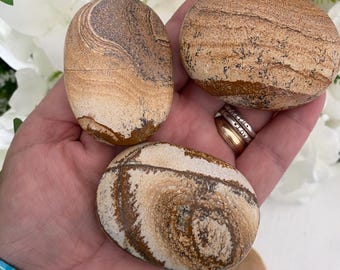 Picture Jasper Pillow Palm Stones (You Choose)
