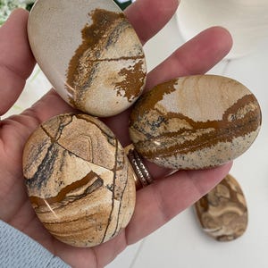 Picture Jasper Pillow Palm Stones (You Choose)