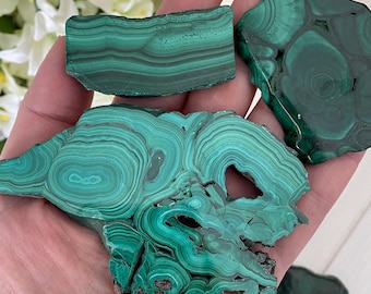 Malachite Slices (You Choose) Free Display Stand Included