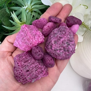 May include: A hand holds several pieces of decorative, porous, magenta-colored rock. The rocks vary in size and shape, with a textured, rough surface. The background includes green and white floral elements.