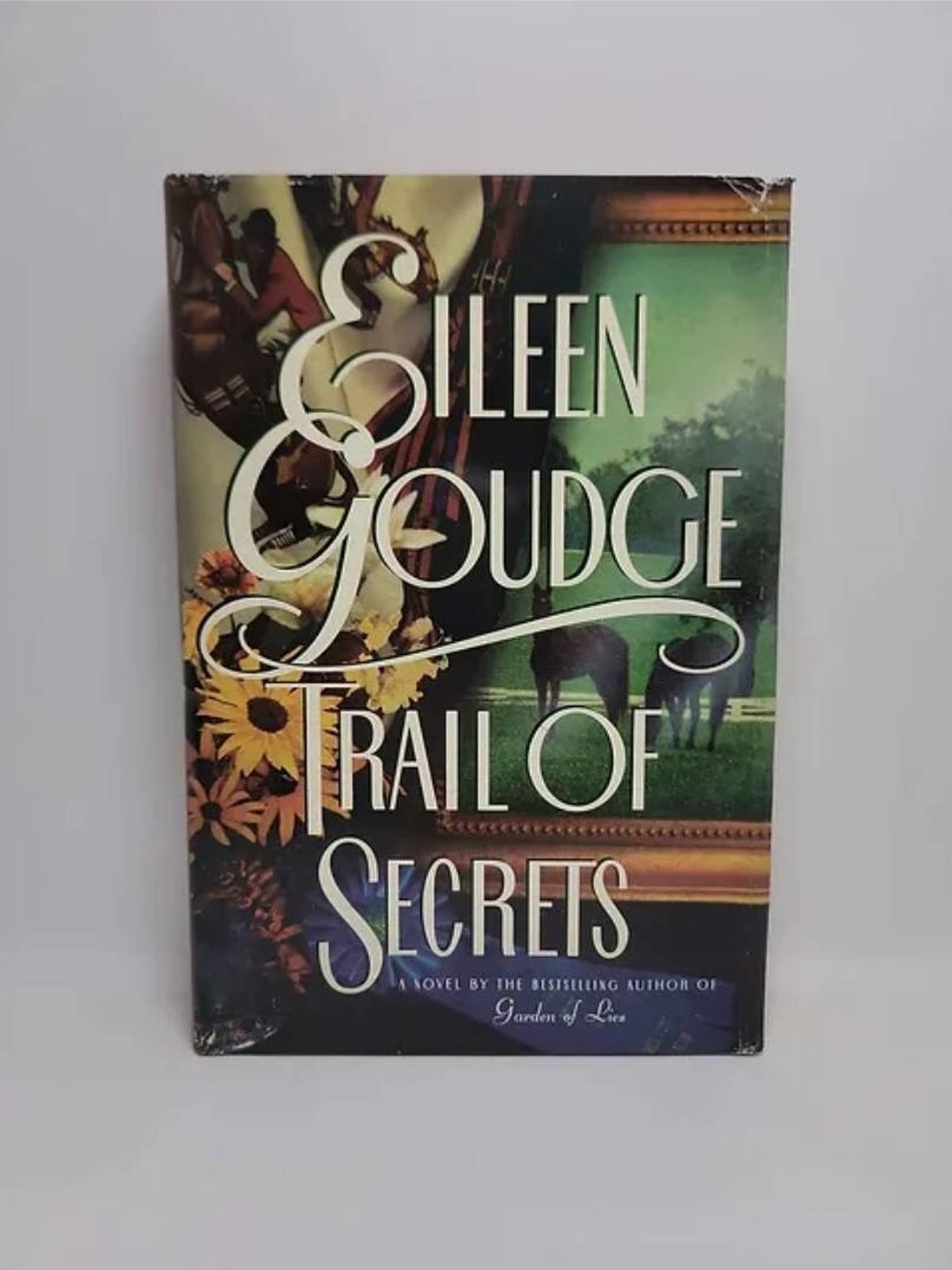 Trail of Secrets Hardcover March 1, 1996 by Eileen Goudge Twenty