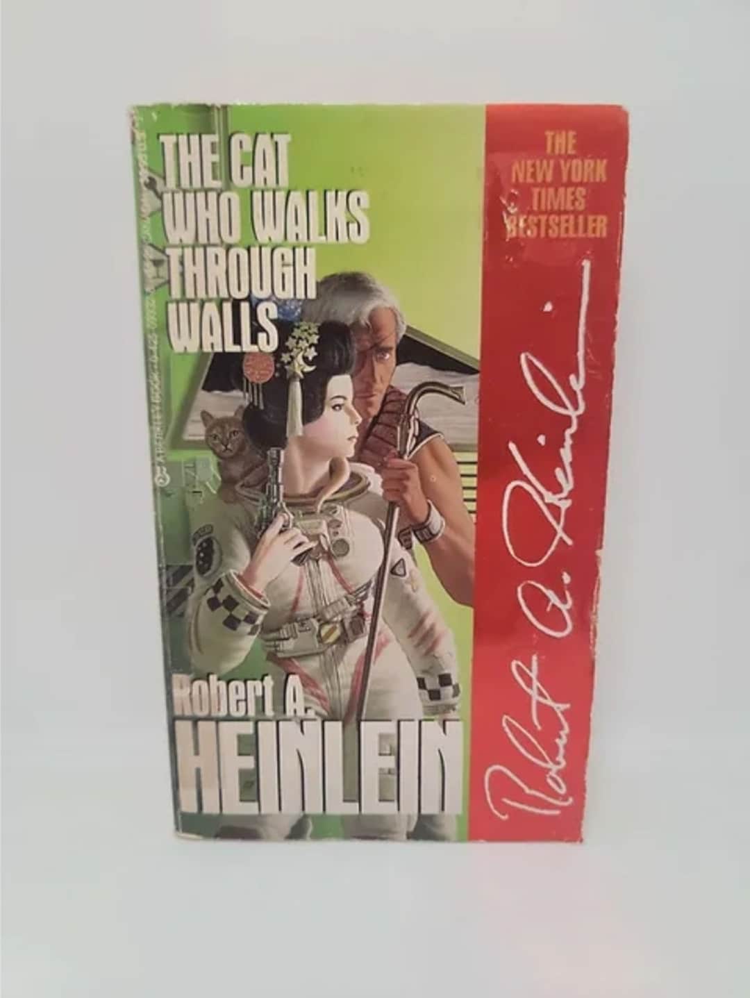 The Cat Who Walks Through Walls Mass Market Paperback November