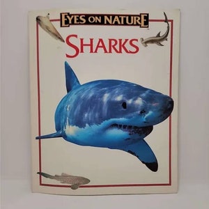 Sharks (Eyes on Nature Series) Paperback – January 1, 1995 by Jane Parker Resnick