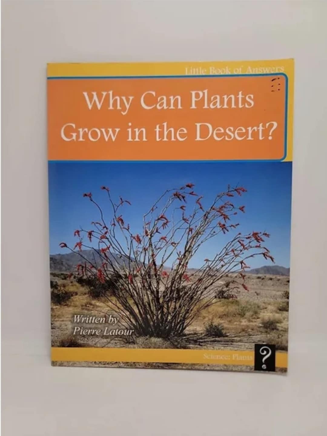 Why Can Plants Grow in the Desert level E Paperback Etsy
