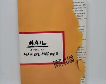 Mail Hardcover – May 1, 1997 by Mameve Medwed - Having discovered that a degree from Harvard does not mean automatic life bliss, Katinka O