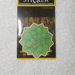 Succulent Wood Stick Decoration