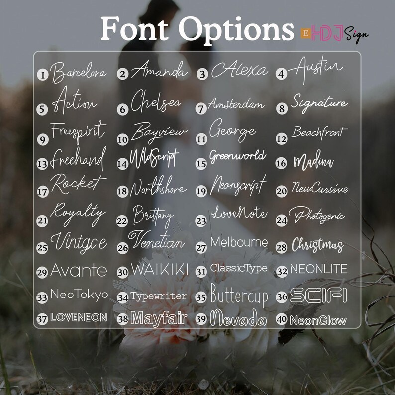 Op de afbeelding: Een wit diagram met een lijst van 40 verschillende lettertypen. De lettertypen zijn geschreven in verschillende stijlen, waaronder schrijfletter, sans serif en serif. Het diagram is bovenaan gelabeld met "Lettertype-opties".
