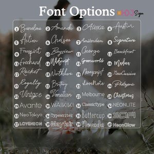 May include: A white chart with a list of 40 different font names. The font names are written in different styles, including script, sans serif, and serif. The chart is labeled "Font Options" at the top.