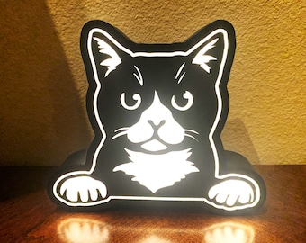 Lightbox - Cat Peeking