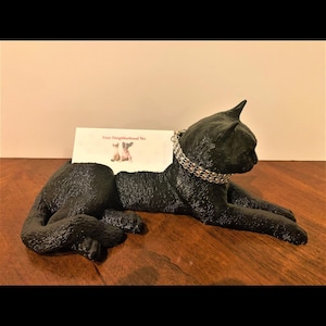 Tarjetero/portalápices Nala Black Cat