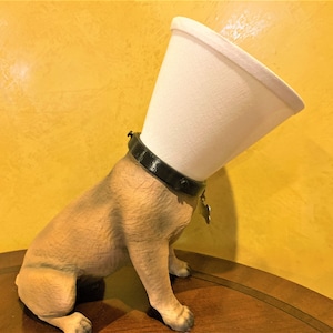 Dog lampshade collar sale