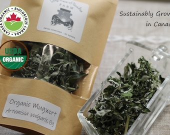 2022 Harvest: Organic Dried Mugwort, Sustinable Farm Grown Herbs