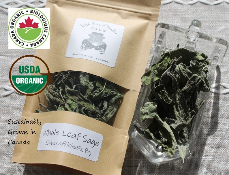 Organic Sage, Salvia Officinalis, Sustainable Farm Grown Herb Medicine