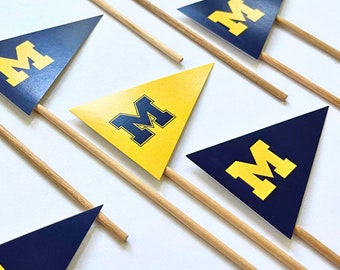 Dozen College Bound Flag Cupcake Toppers, Custom Pennant Graduation Sign Cake Flags, University Mascot Class 2024 Cupcake trunk party Flag