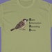 Loren Phillips reviewed Meme Shirt, Bird Shirt, Bird Watcher Gift, Bird Lover Gift, ,Conspiracy Theory Shirt, Reddit Shirt, Birds Aren't Real | Bird T Shirt