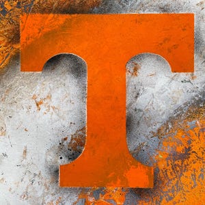 Tennessee Vols Spray Paint Art: Original Signed Painting