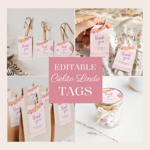 Editable Cielito Lindo Baby Shower Shower Pink For Girls Favor Hang Tag Bundle Talavera Paper Picado Mexican Decor For Girls Template