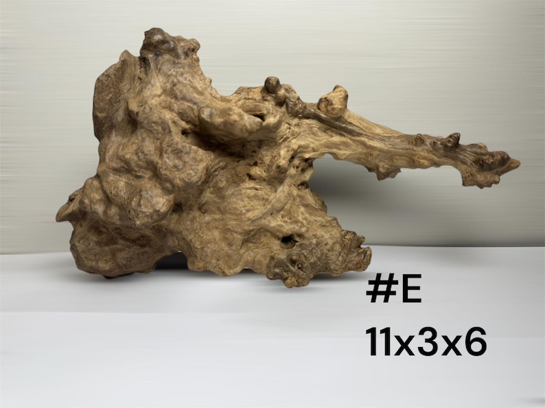 Natural Aquarium Driftwood Branch - Reptile Terrarium Wood Decor #E