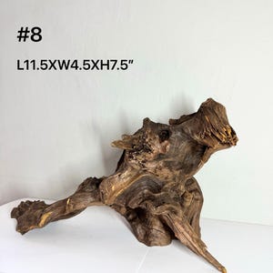 May include: A piece of dark brown driftwood labeled #8 with dimensions L11.5 x W4.5 x H7.5 inches. The wood features a complex, gnarled texture with deep grooves, natural knots, and pointed edges, showcasing a weathered and organic appearance.