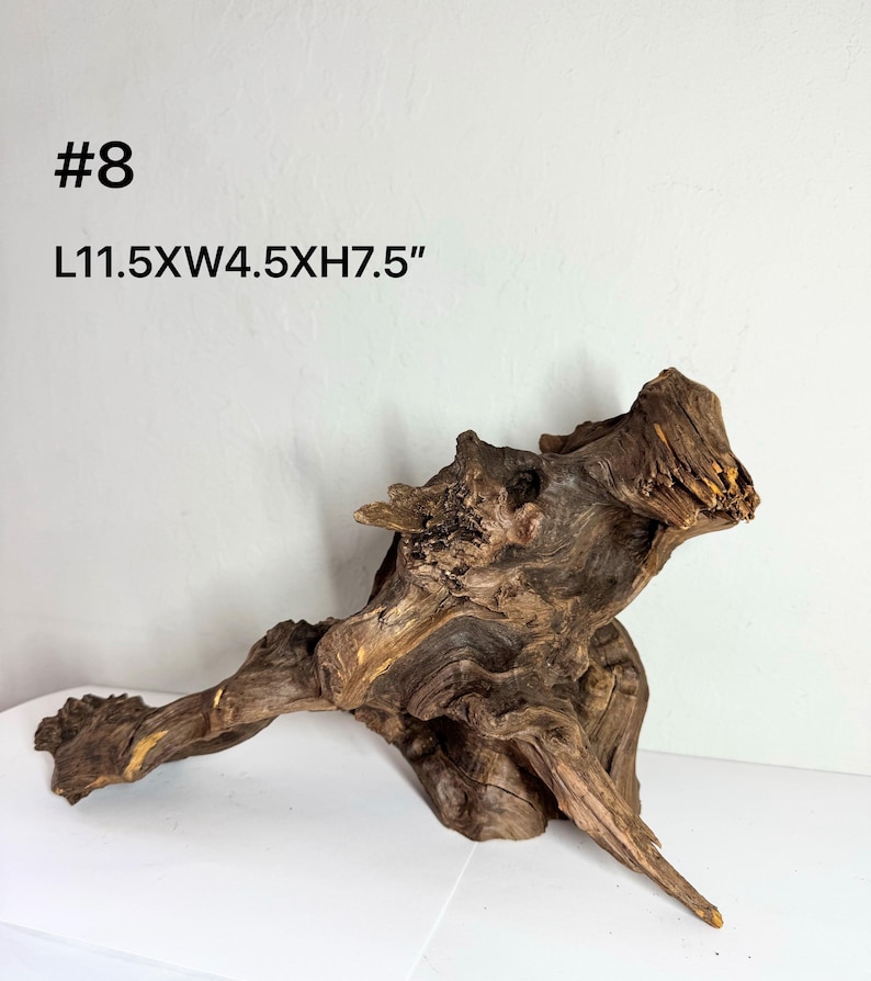 May include: A piece of dark brown driftwood labeled #8 with dimensions L11.5 x W4.5 x H7.5 inches. The wood features a complex, gnarled texture with deep grooves, natural knots, and pointed edges, showcasing a weathered and organic appearance.