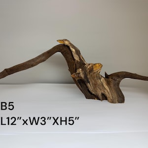 May include: A piece of brown driftwood with a curved, arching branch and a textured, gnarled base. The wood features natural light and dark brown tones. Text on the image reads B5 L12"xW3"xH5". The object has an irregular, organic shape.