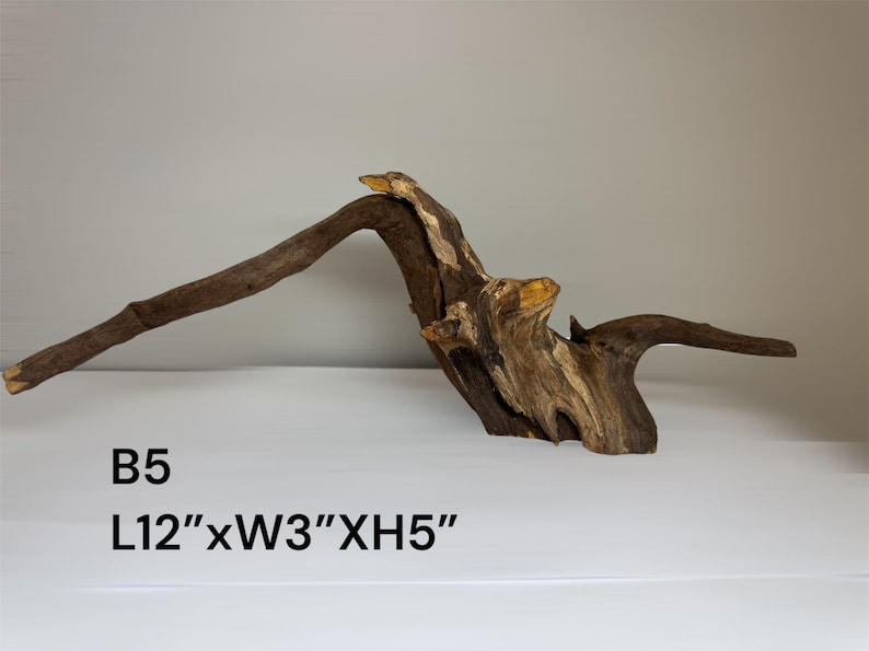 May include: A piece of brown driftwood with a curved, arching branch and a textured, gnarled base. The wood features natural light and dark brown tones. Text on the image reads B5 L12"xW3"xH5". The object has an irregular, organic shape.