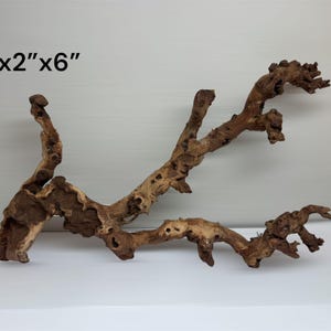 Natural Aquarium Driftwood Branch – Terrarium Reptile Decor #1