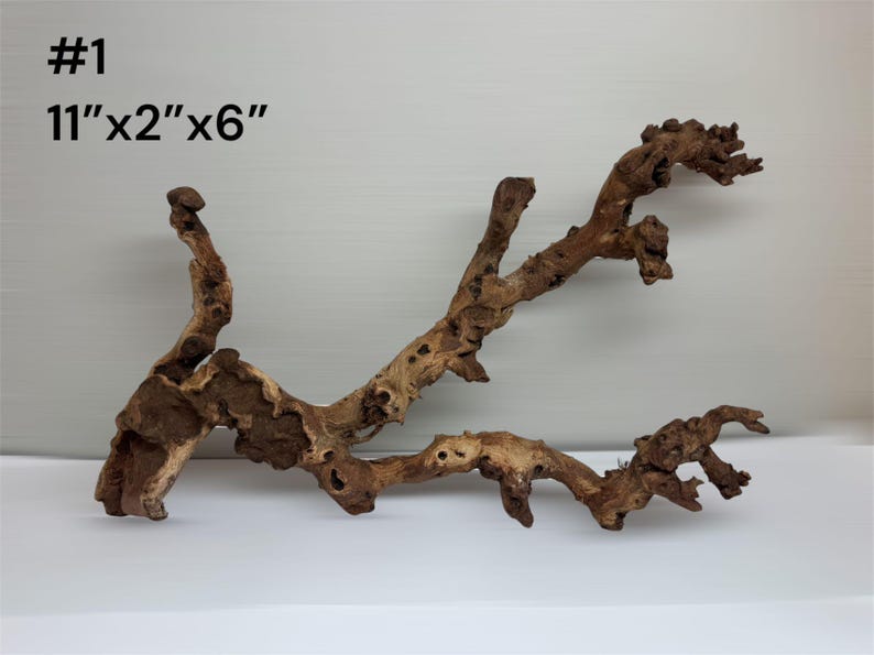Natural Aquarium Driftwood Branch – Terrarium Reptile Decor #1