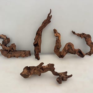 May include: Five pieces of driftwood in various shapes and sizes. The wood is a natural brown color with a textured surface. The pieces are arranged on a white background.