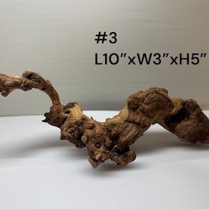 Natural Aquarium Driftwood Branch – Terrarium Reptile Decor #3