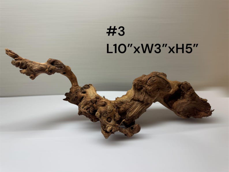 Natural Aquarium Driftwood Branch – Terrarium Reptile Decor #3