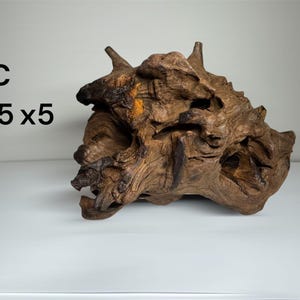 Pu&ograve; includere: Un pezzo di legno galleggiante marrone con una consistenza nodosa e organica e molteplici punte sporgenti. Il legno presenta profonde fessure e nodi naturali. Il testo a sinistra riporta #C e 7x5x5 cm, indicando le dimensioni dell'oggetto.