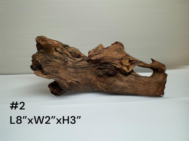 Natural Aquarium Driftwood Branch – Terrarium Reptile Decor #2