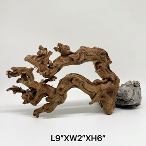 Natural Coral Driftwood for Aquarium tank or Aquarium Décor /Terrarium/ Reptile/Air Plant holder/Wood Décor