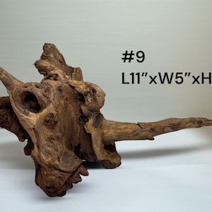 Natural Aquarium Driftwood Branch – Terrarium Reptile Decor #9