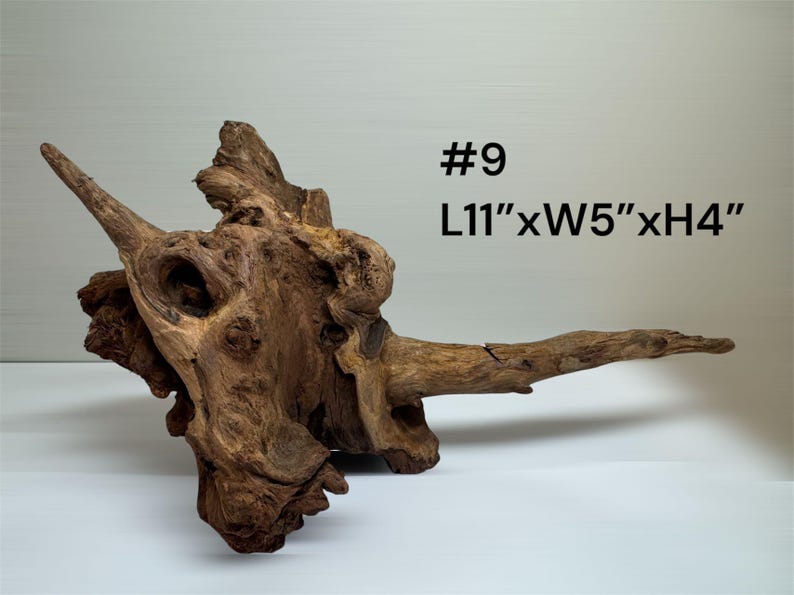 Natural Aquarium Driftwood Branch – Terrarium Reptile Decor #9