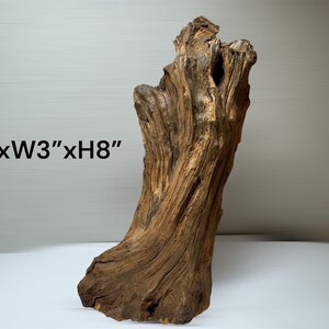 Pu&ograve; includere: Un pezzo di legno galleggiante marrone naturale con una superficie ruvida e usurata, caratterizzato da venature del legno organiche e nodose. L'articolo &egrave; etichettato come #F e riporta le dimensioni stampate L3" x W3" x H8".