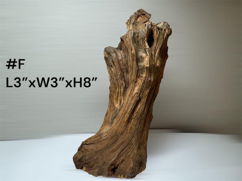 Pu&ograve; includere: Un pezzo di legno galleggiante marrone naturale con una superficie ruvida e usurata, caratterizzato da venature del legno organiche e nodose. L'articolo &egrave; etichettato come #F e riporta le dimensioni stampate L3" x W3" x H8".
