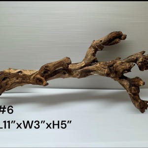 Natural Aquarium Driftwood Branch – Terrarium Reptile Decor #6