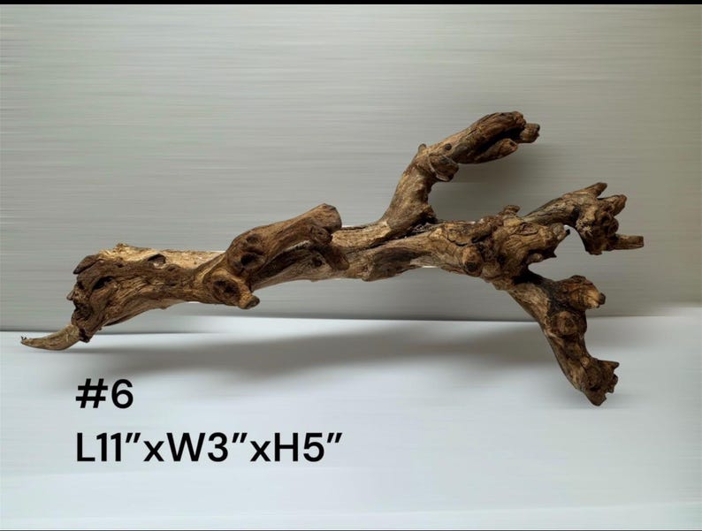 Natural Aquarium Driftwood Branch – Terrarium Reptile Decor #6