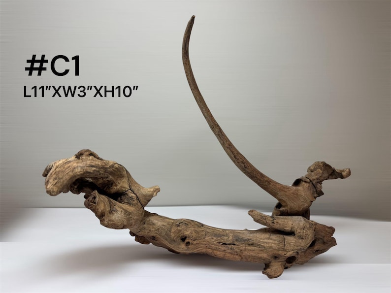 Natural Aquarium Driftwood Branch – Terrarium Reptile Decor #C1