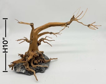 Natural Driftwood moss Tree  for Aquarium tank or Aquarium Décor /Terrarium/ Reptile/Air Plant holder/Wood Décor