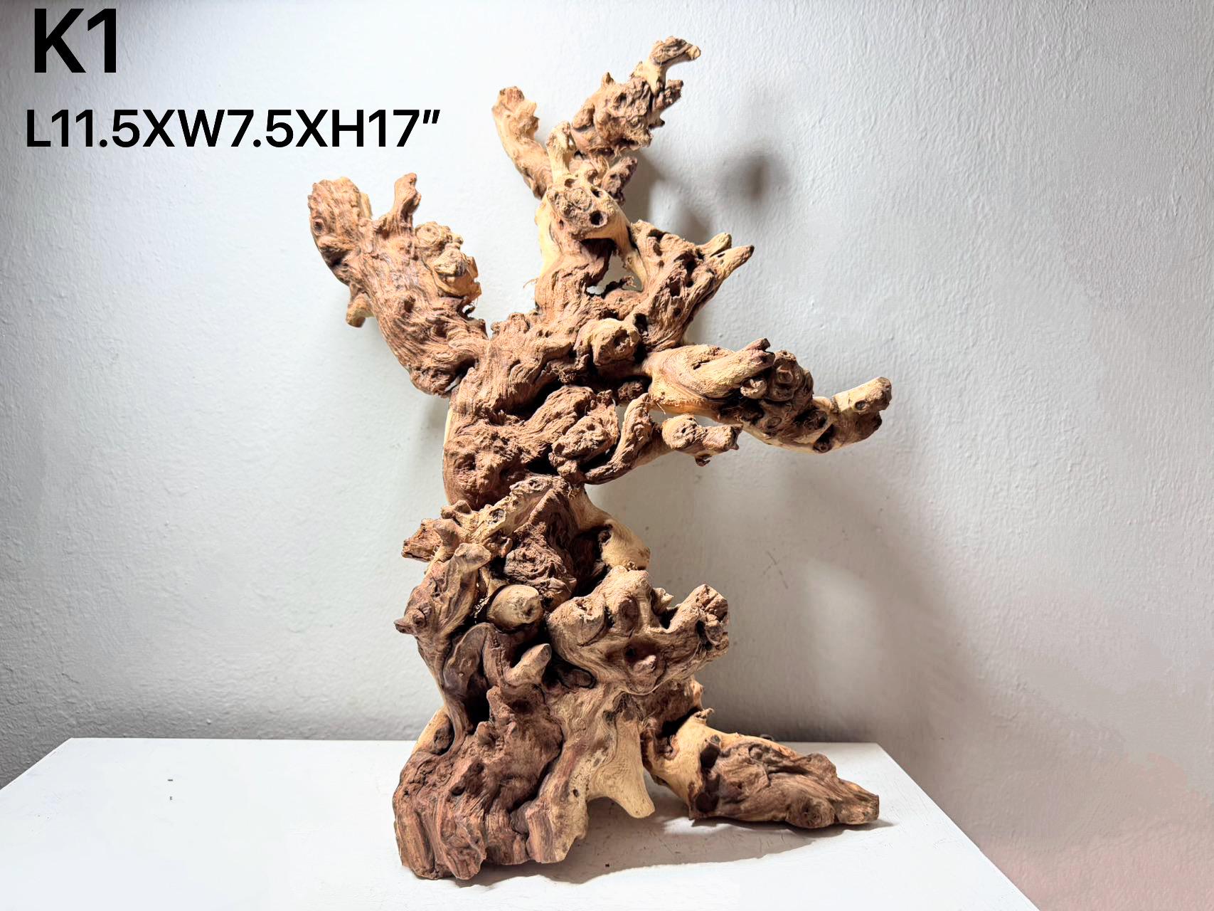 Special deal-Natural Driftwood  for Aquarium tank or Aquarium Décor /Terrarium/ Reptile/Air Plant holder/Wood Décor