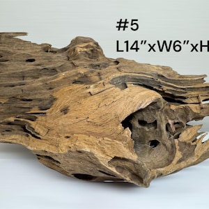 Natural Aquarium Driftwood Branch – Terrarium Reptile Decor #5