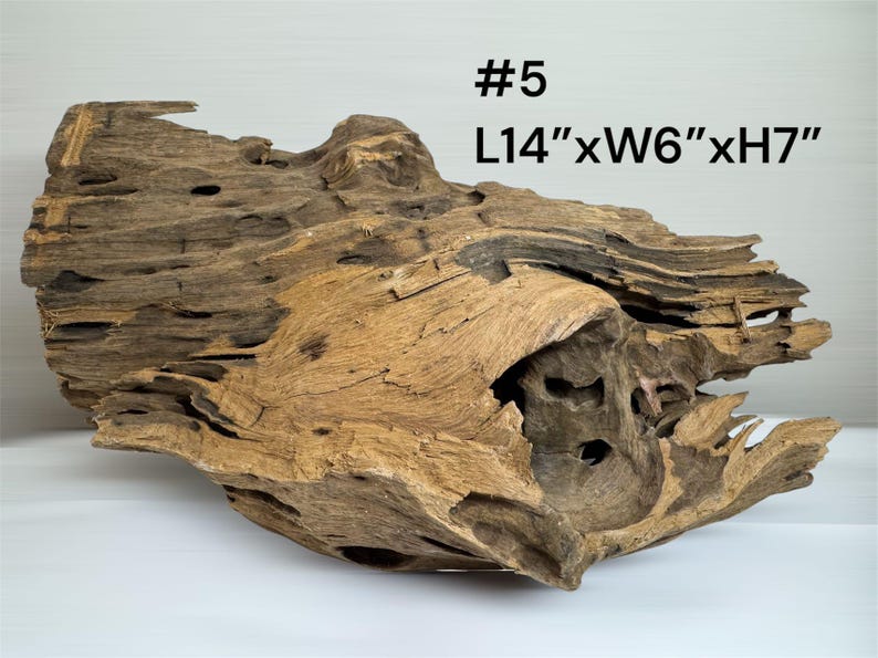 Natural Aquarium Driftwood Branch – Terrarium Reptile Decor #5