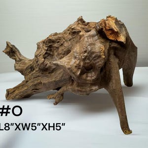 Pu&ograve; includere: Un pezzo di legno galleggiante marrone con una superficie nodosa e ruvida e rami irregolari. Il legno &egrave; etichettato #O e presenta le dimensioni L8" x W5" x H5" stampate in nero nella parte inferiore sinistra dell'immagine.