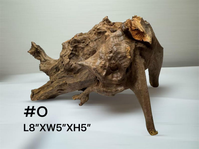 Pu&ograve; includere: Un pezzo di legno galleggiante marrone con una superficie nodosa e ruvida e rami irregolari. Il legno &egrave; etichettato #O e presenta le dimensioni L8" x W5" x H5" stampate in nero nella parte inferiore sinistra dell'immagine.